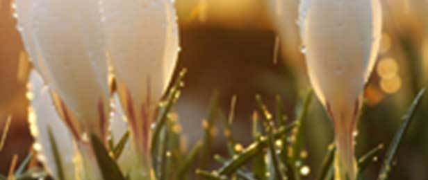 WordPress瀑布流主题PinThis中文版v1.6.8